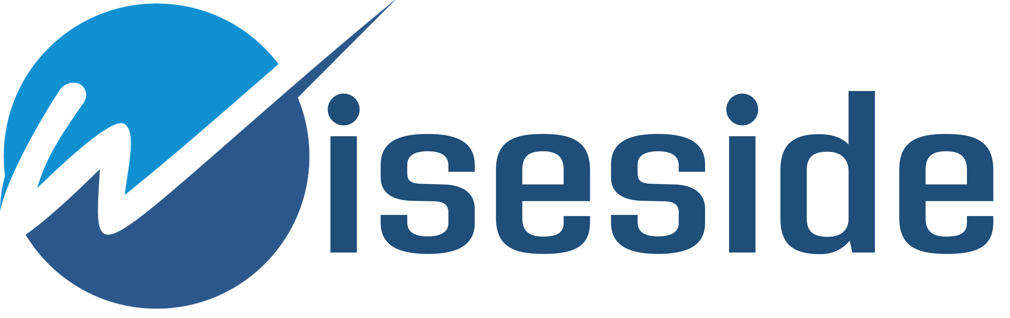 Logo Wiseside srl